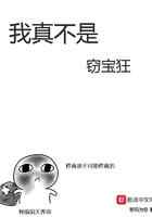 我真不是窃宝狂
