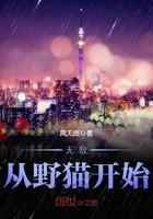 无敌从野猫开始