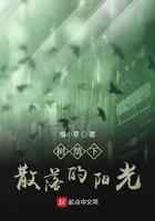 树荫下散落的阳光
