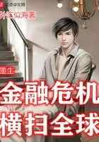 重生金融危机横扫全球