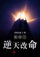 职场之逆天改命