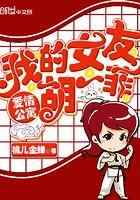 爱情公寓：我的女友胡一菲