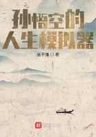 孙悟空的人生模拟器