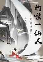 武道世界的唯一仙人