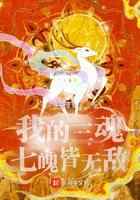 我的三魂七魄皆无敌