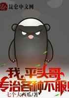 我，平头哥，专治各种不服！