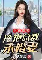 下山退婚：冷艳总裁未婚妻
