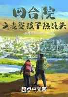 四合院之老婆孩子热炕头