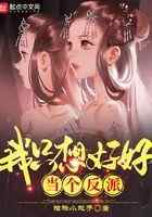 我只想好好当个反派