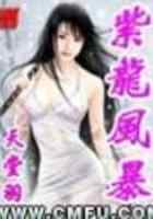 紫龙风暴