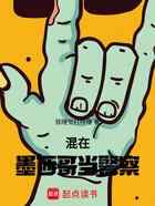 混在墨西哥当警察