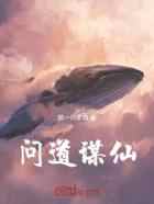 问道谋仙