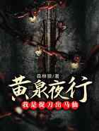 黄泉夜行：我是捉刀出马仙