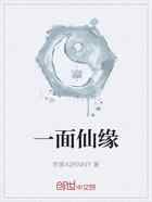 一面仙缘