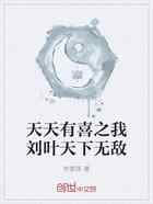 天天有喜之我刘叶天下无敌