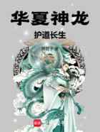 华夏神龙护道长生