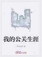 我的公关生涯