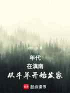 年代：在滇南从牛羊开始发家