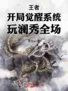 王者：开局觉醒系统，玩澜秀全场