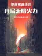 觉醒核爆法师，开局无限火力