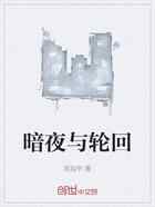 暗夜与轮回