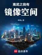高武之我有镜像空间