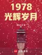 1978光辉岁月