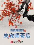 当我穿越到失宠师哥后